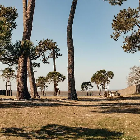 La De L'estran Au Bord De *