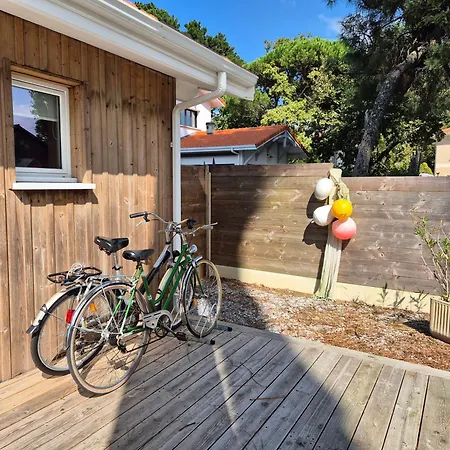 La De L'estran Au Bord De * Lanton