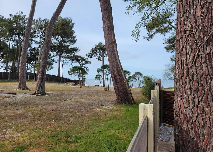 La De L'estran Au Bord De * Lanton