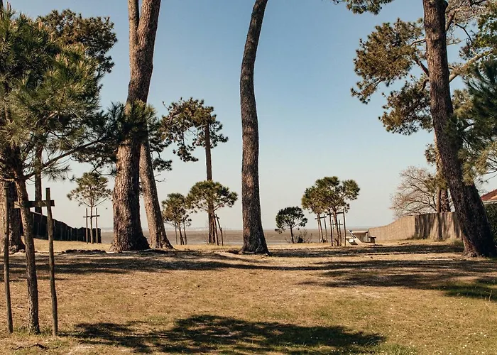 La De L'estran Au Bord De *