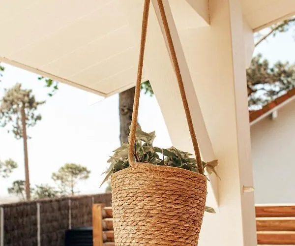 La De L'estran Au Bord De Lanton